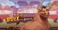 Bull in a Rodeo