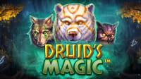 Druid's Magic