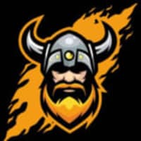 Vikinger