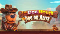The Dog House - Dog or Alive