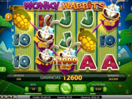 Función duplicación de Wild