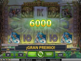 Gran Premio Wild Turkey