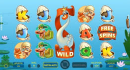 Expanding Wild