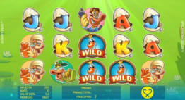 Random Wild