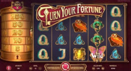 Turn Your Fortune