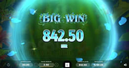 Gran Premio de Wings of Riches