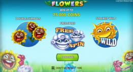 Flowers video slot