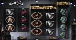 Free Spins Feature