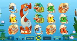 Expanding Wild