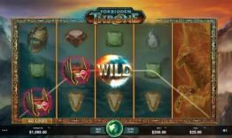 Wild Symbol