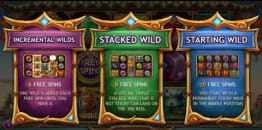 Free Spins Feature