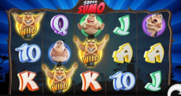 Wild Symbols
