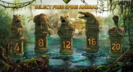 Free Spins Feature