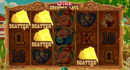 Scatter Symbols