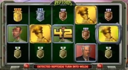 Wild Symbols