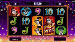 Wild Spin Again