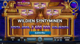 Wild-symbolit