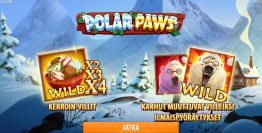 Polar Paws bonustoiminnot