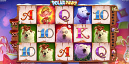 Polar Paws ilmaiskierrokset