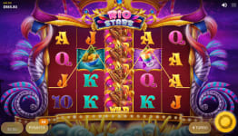 Rio Stars mega wild