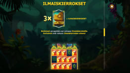 Multifly ilmaiskierrokset