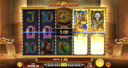 Laajentuneet wild-symbolit