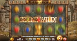 Feline Wild -bonustoiminto