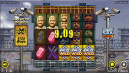 Split wild