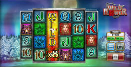 Wild Flower kerroin-wild