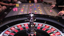 Evolution Live Dual Play