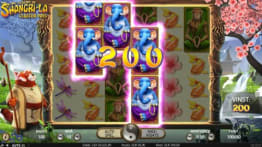 Shangri-La Klustervinst