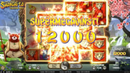 Shangri-La Megavinst!