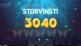 Storvinst!