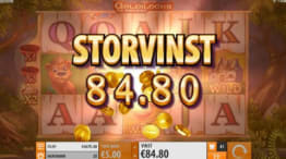 Storvinst!