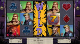 Expanderande Wilds