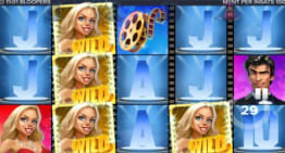 Bloopers Sticky Wilds