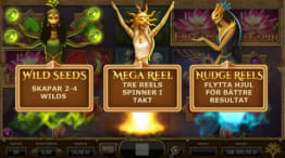 Nirvana Specialfunktioner