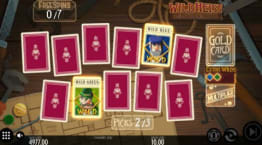 Wild Heist Pick Screen