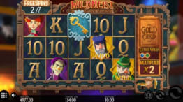 Wild Heist Freespins