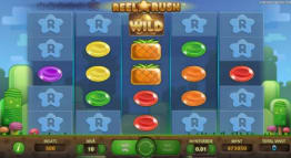 Reel Rush Slot