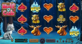 Wolf Cub Slot