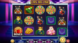 Cats And Cash Slot