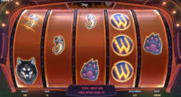 Spinsane Freespins