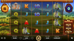 Serengeti Kings Grundspel