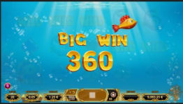 Golden Fish Tank big win