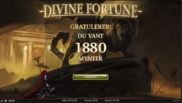 Divine Fortune gevinst