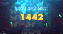 Butterfly Staxx gevinst