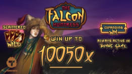 the falcon huntress