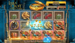 Gevinstmultiplikator