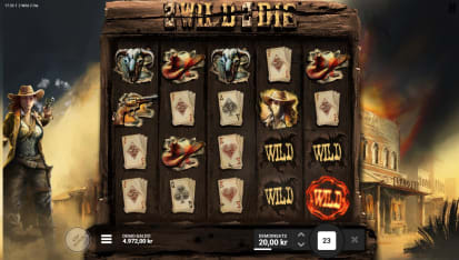 2 Wild 2 Die grundspel